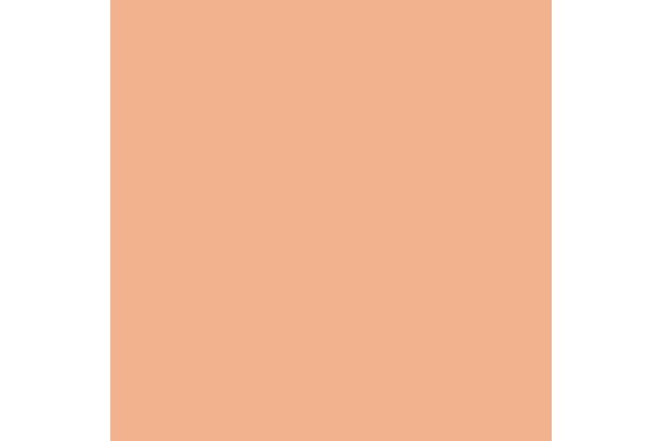 Pigments fresh rust 35ml